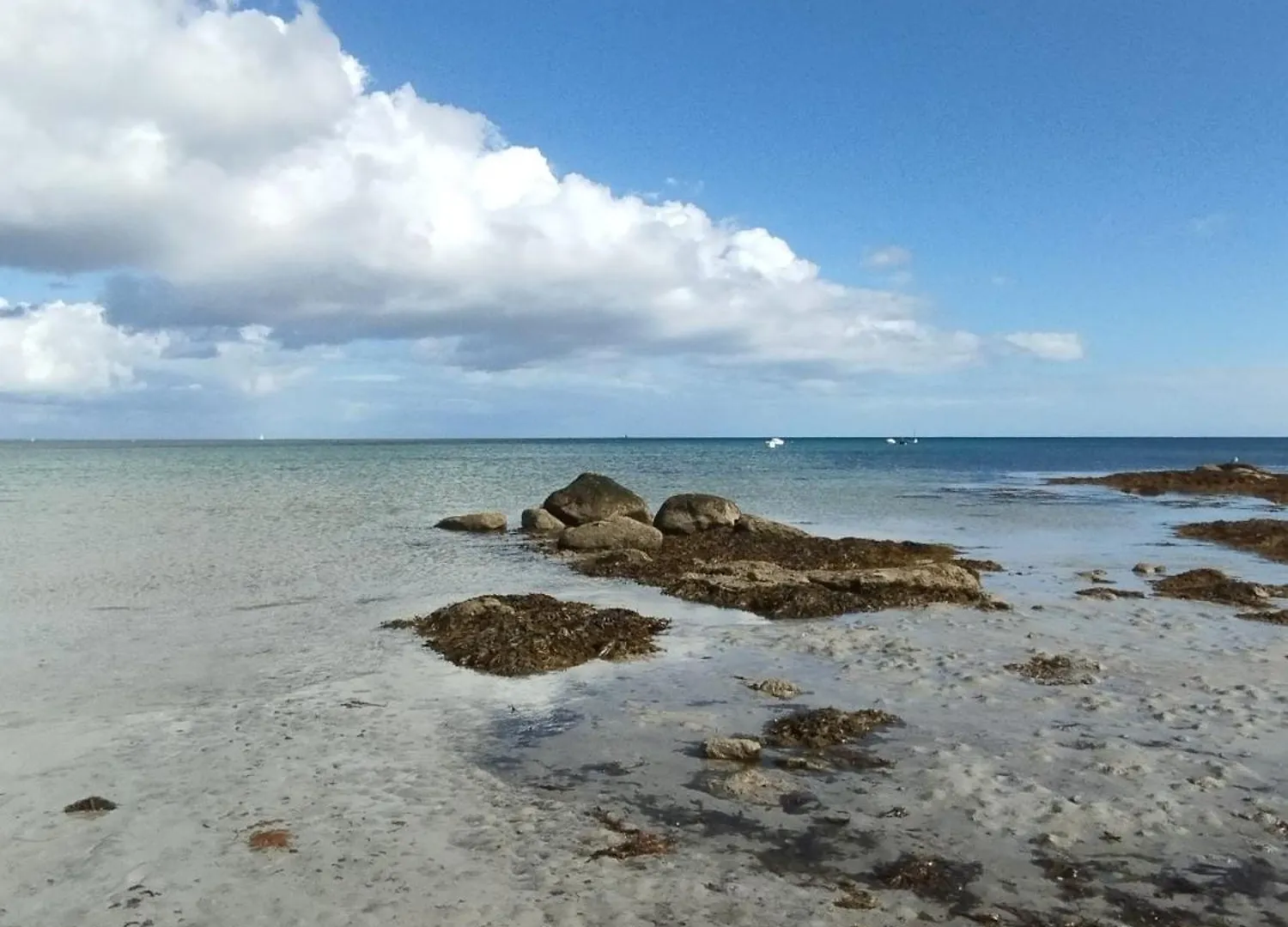 Ty Sterenn E Giulia 700M De La Plage De Lodonnec Loctudy 0*,