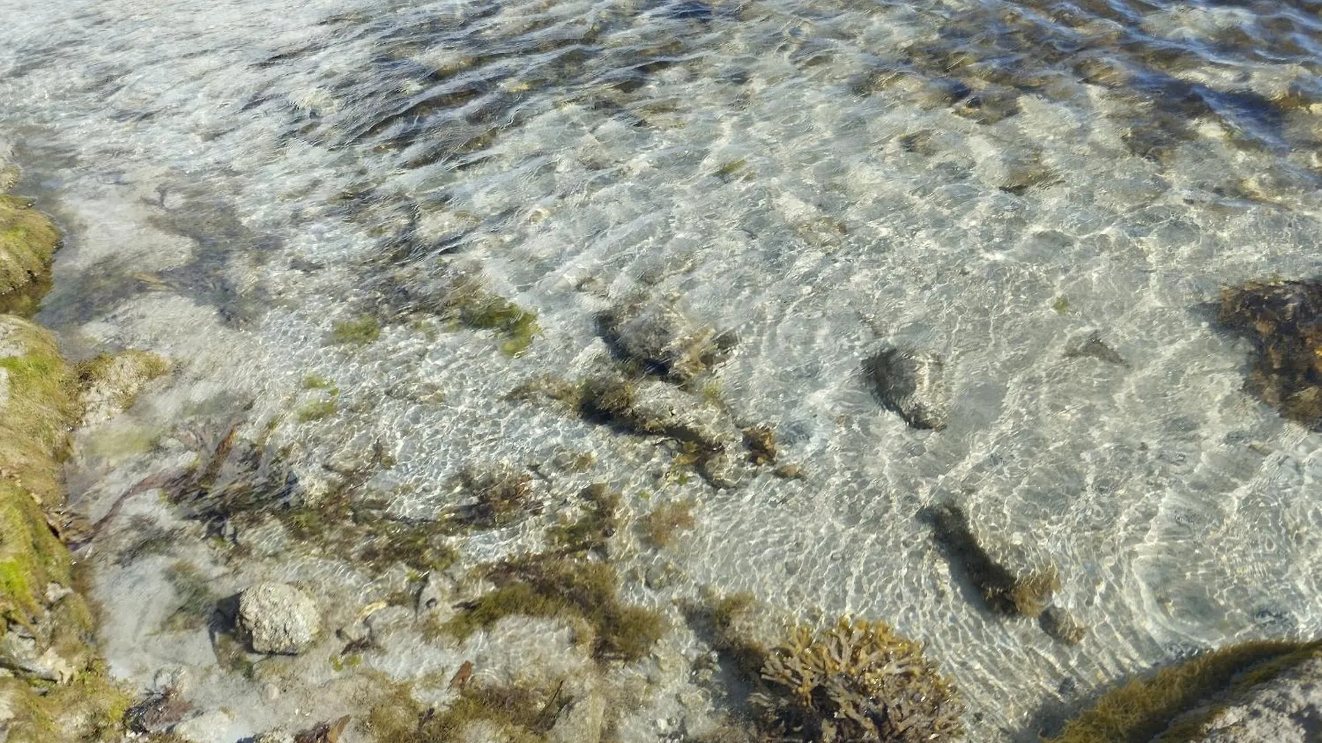 Ty Sterenn E Giulia 700M De La Plage De Lodonnec Loctudy Сasa de vacaciones